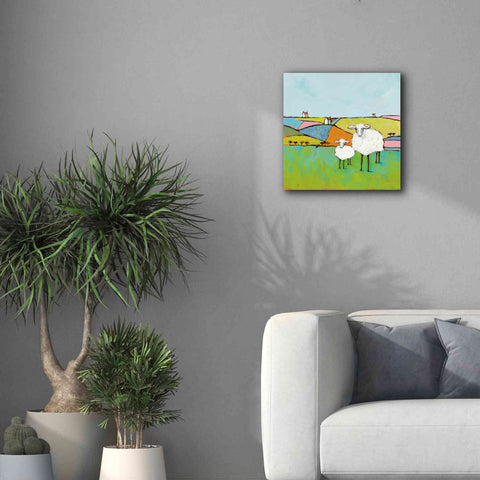 Image of 'Sheep in the Meadow II' by Phyllis Adams, Canvas Wall Art,18 x 18