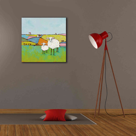 Image of 'Sheep in the Meadow II' by Phyllis Adams, Canvas Wall Art,26 x 26