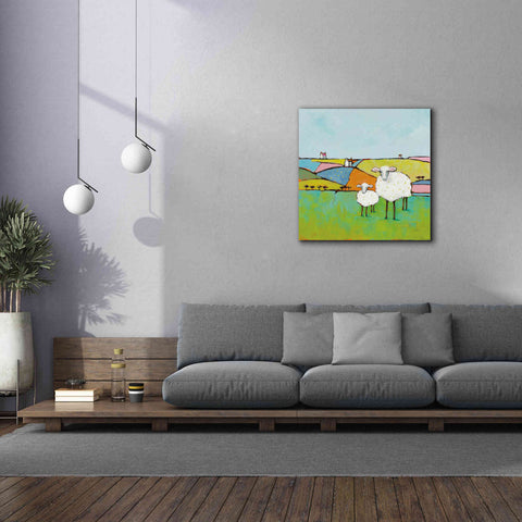 Image of 'Sheep in the Meadow II' by Phyllis Adams, Canvas Wall Art,37 x 37