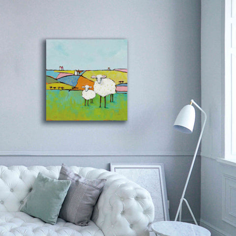 Image of 'Sheep in the Meadow II' by Phyllis Adams, Canvas Wall Art,37 x 37