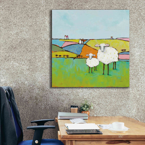 Image of 'Sheep in the Meadow II' by Phyllis Adams, Canvas Wall Art,37 x 37
