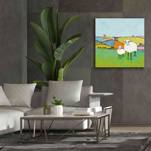 Image of 'Sheep in the Meadow II' by Phyllis Adams, Canvas Wall Art,37 x 37