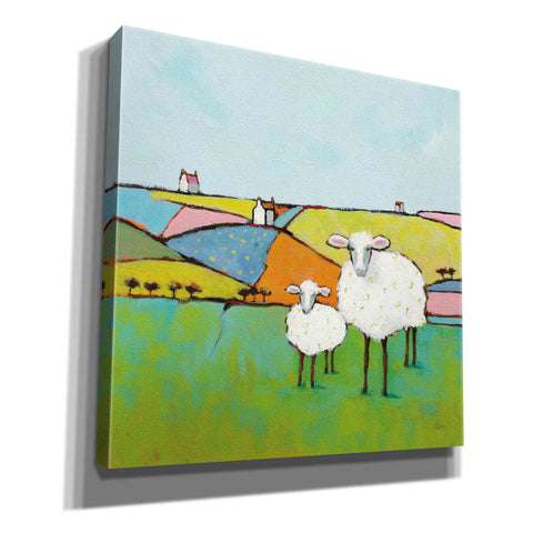 Image of 'Sheep in the Meadow II' by Phyllis Adams, Canvas Wall Art