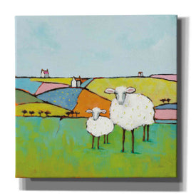 'Sheep in the Meadow II' by Phyllis Adams, Canvas Wall Art
