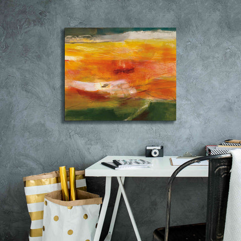 Image of 'Bog Journey' by Jo Maye, Canvas Wall Art,24 x 20