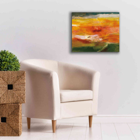 Image of 'Bog Journey' by Jo Maye, Canvas Wall Art,24 x 20