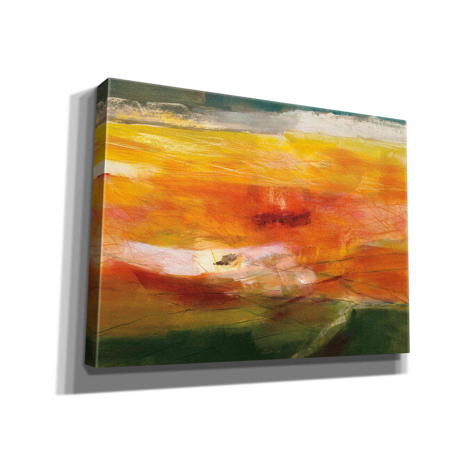 'Bog Journey' by Jo Maye, Canvas Wall Art