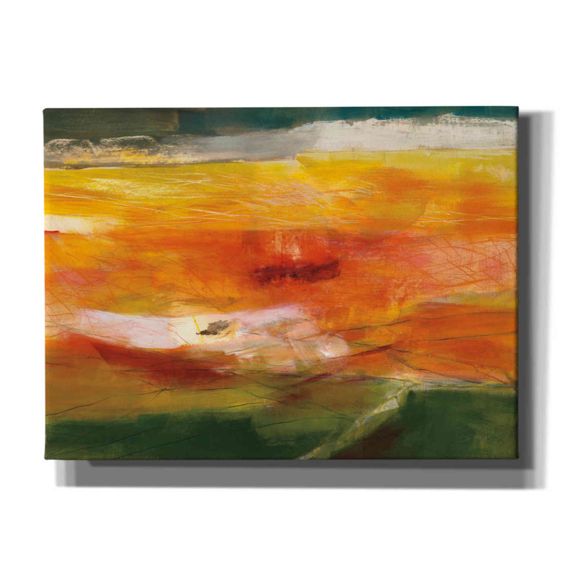 'Bog Journey' by Jo Maye, Canvas Wall Art