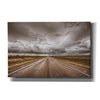 'Into The Storm' by Nathan Larson, Canvas Wall Art