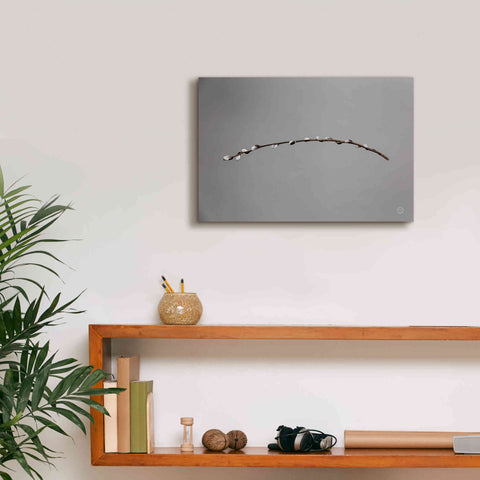 Image of 'Springtime in the Air' by Nathan Larson, Canvas Wall Art,18 x 12