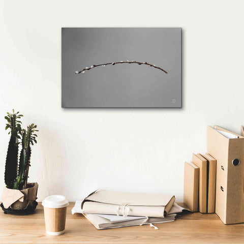 Image of 'Springtime in the Air' by Nathan Larson, Canvas Wall Art,18 x 12