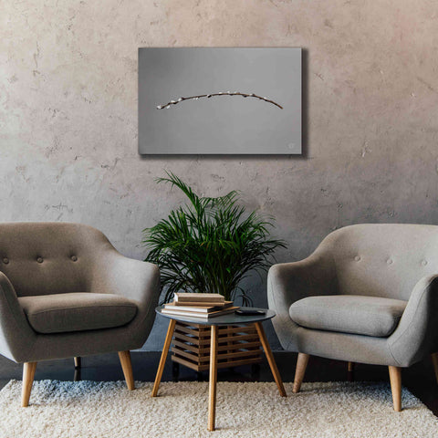 Image of 'Springtime in the Air' by Nathan Larson, Canvas Wall Art,40 x 26