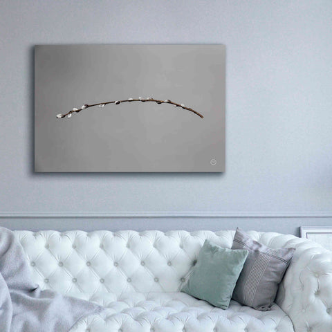 Image of 'Springtime in the Air' by Nathan Larson, Canvas Wall Art,60 x 40