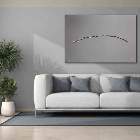 Image of 'Springtime in the Air' by Nathan Larson, Canvas Wall Art,60 x 40