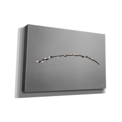 Image of 'Springtime in the Air' by Nathan Larson, Canvas Wall Art