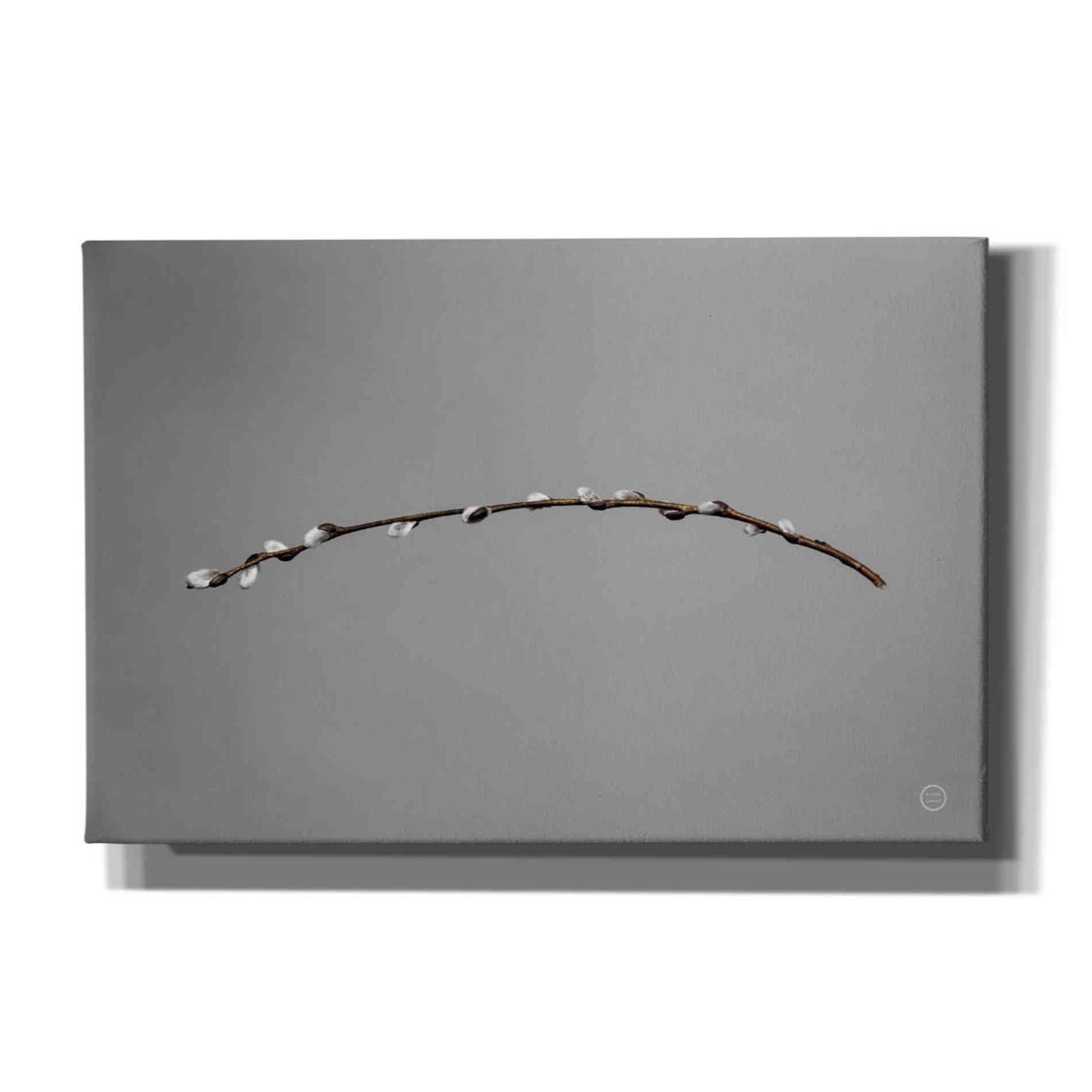 'Springtime in the Air' by Nathan Larson, Canvas Wall Art