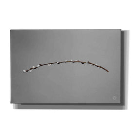 'Springtime in the Air' by Nathan Larson, Canvas Wall Art