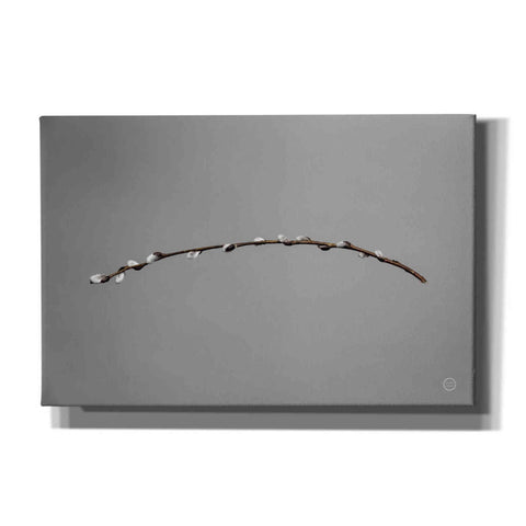 Image of 'Springtime in the Air' by Nathan Larson, Canvas Wall Art