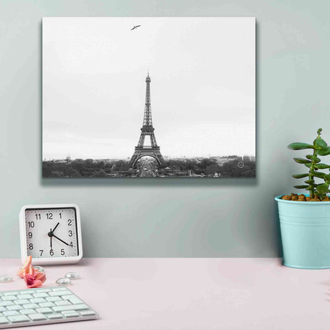 Image of 'A Birds View of Paris' by Nathan Larson, Canvas Wall Art,16 x 12
