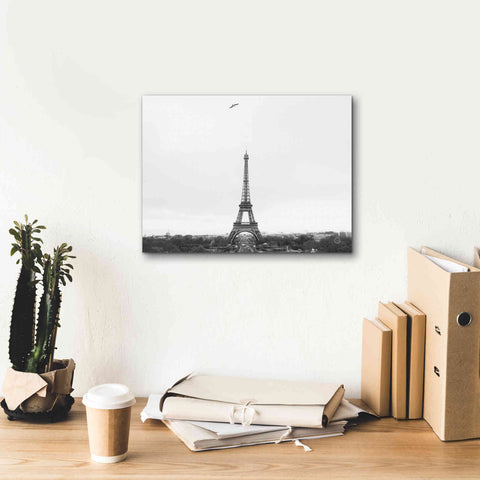 Image of 'A Birds View of Paris' by Nathan Larson, Canvas Wall Art,16 x 12