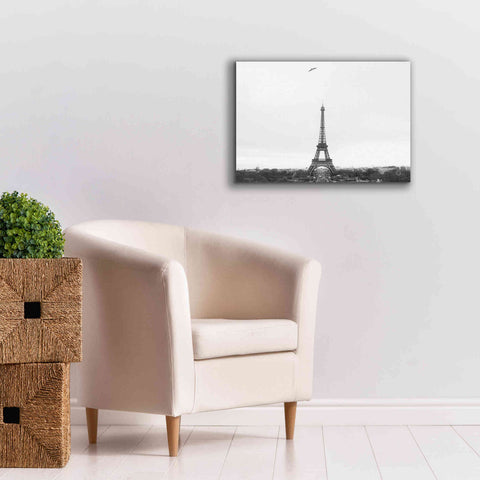 Image of 'A Birds View of Paris' by Nathan Larson, Canvas Wall Art,26 x 18