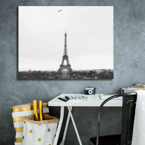 Image of 'A Birds View of Paris' by Nathan Larson, Canvas Wall Art,34 x 26
