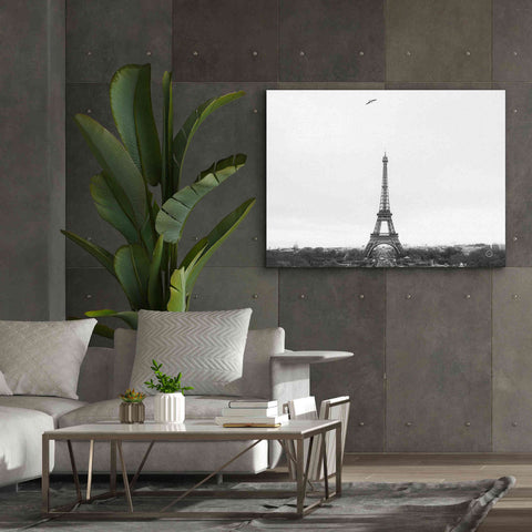 Image of 'A Birds View of Paris' by Nathan Larson, Canvas Wall Art,54 x 40