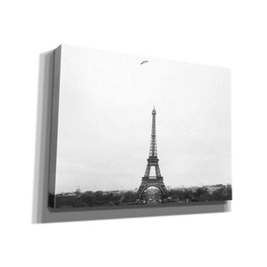 'A Birds View of Paris' by Nathan Larson, Canvas Wall Art