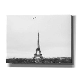 'A Birds View of Paris' by Nathan Larson, Canvas Wall Art