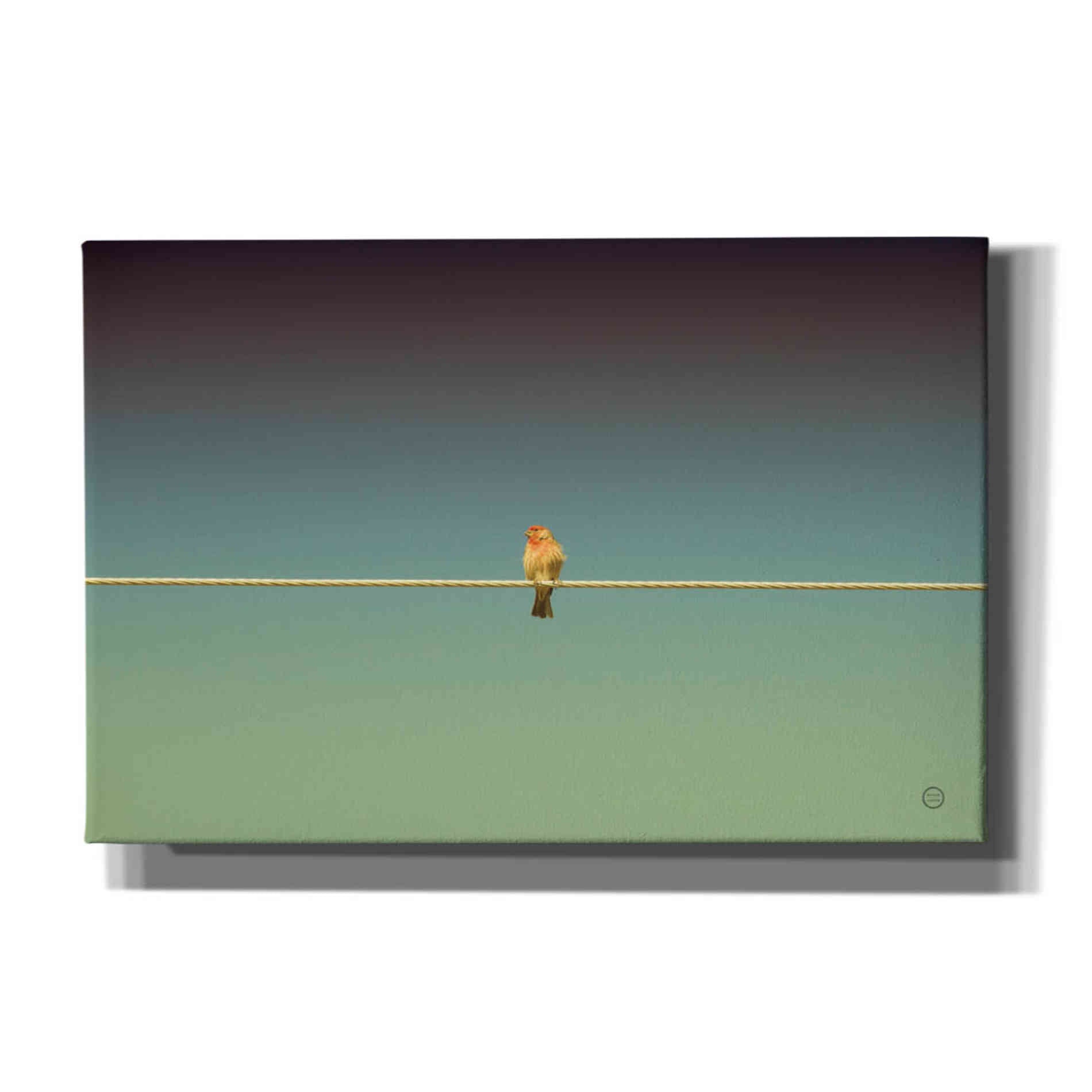 'Waiting' by Nathan Larson, Canvas Wall Art