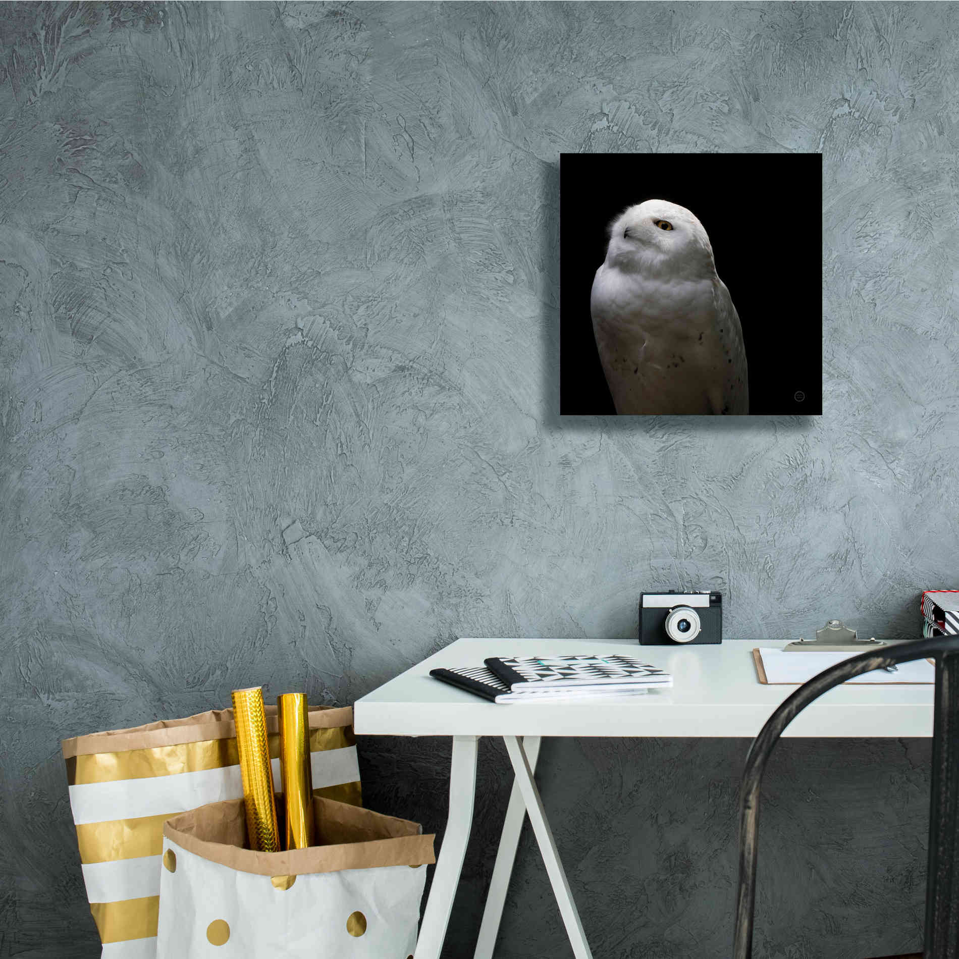 'Snowy Owl Looks to the Sun' by Nathan Larson, Canvas Wall Art,12 x 12