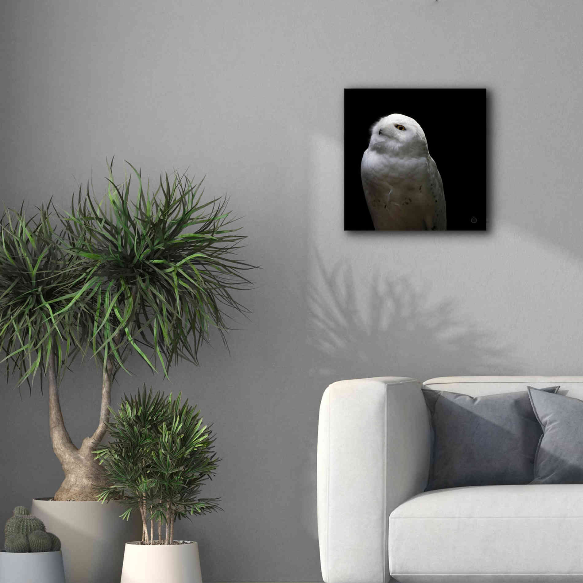 'Snowy Owl Looks to the Sun' by Nathan Larson, Canvas Wall Art,18 x 18