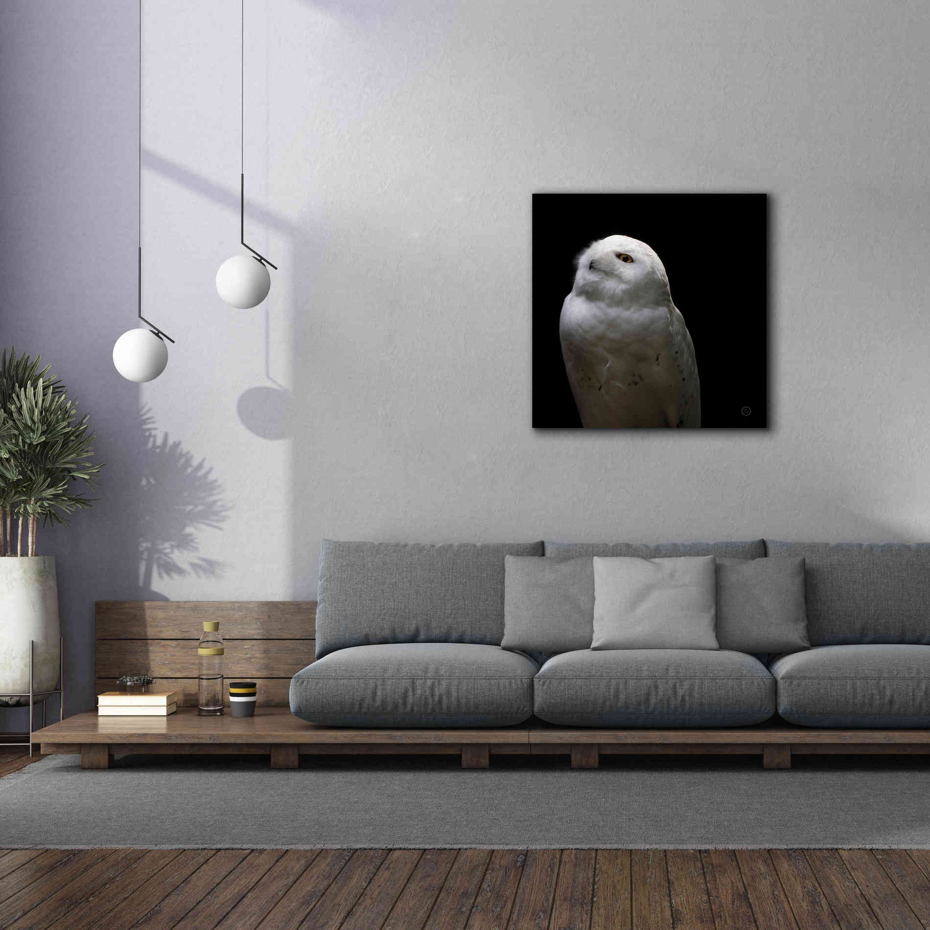 'Snowy Owl Looks to the Sun' by Nathan Larson, Canvas Wall Art,37 x 37