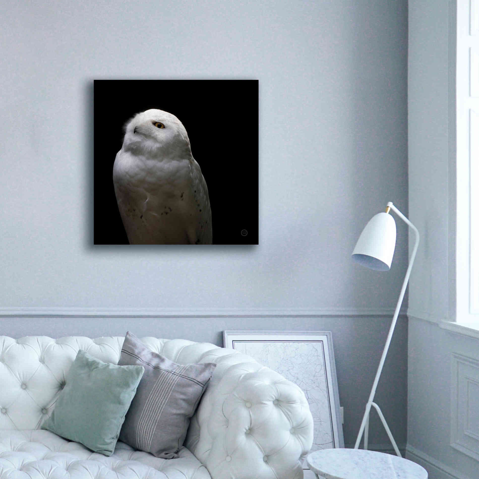 'Snowy Owl Looks to the Sun' by Nathan Larson, Canvas Wall Art,37 x 37