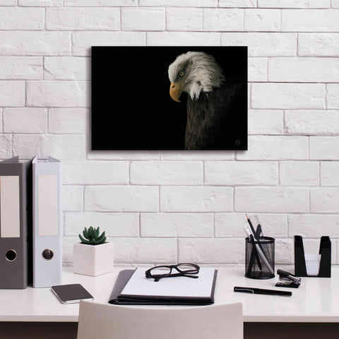 Image of 'Eagle Bow' by Nathan Larson, Canvas Wall Art,18 x 12