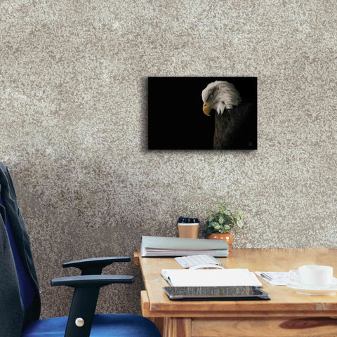 Image of 'Eagle Bow' by Nathan Larson, Canvas Wall Art,18 x 12