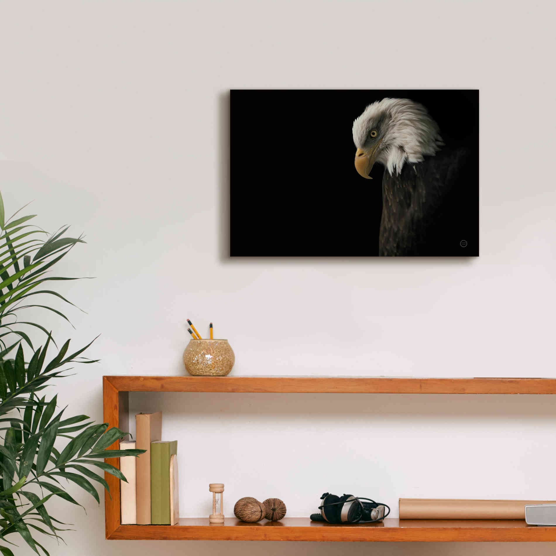'Eagle Bow' by Nathan Larson, Canvas Wall Art,18 x 12