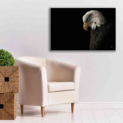 Image of 'Eagle Bow' by Nathan Larson, Canvas Wall Art,40 x 26