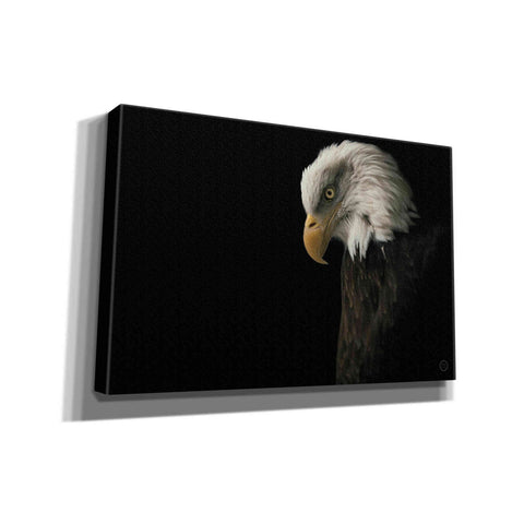 Image of 'Eagle Bow' by Nathan Larson, Canvas Wall Art