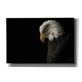 'Eagle Bow' by Nathan Larson, Canvas Wall Art