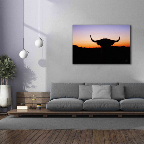 Image of 'Bull Set' by Nathan Larson, Canvas Wall Art,60 x 40
