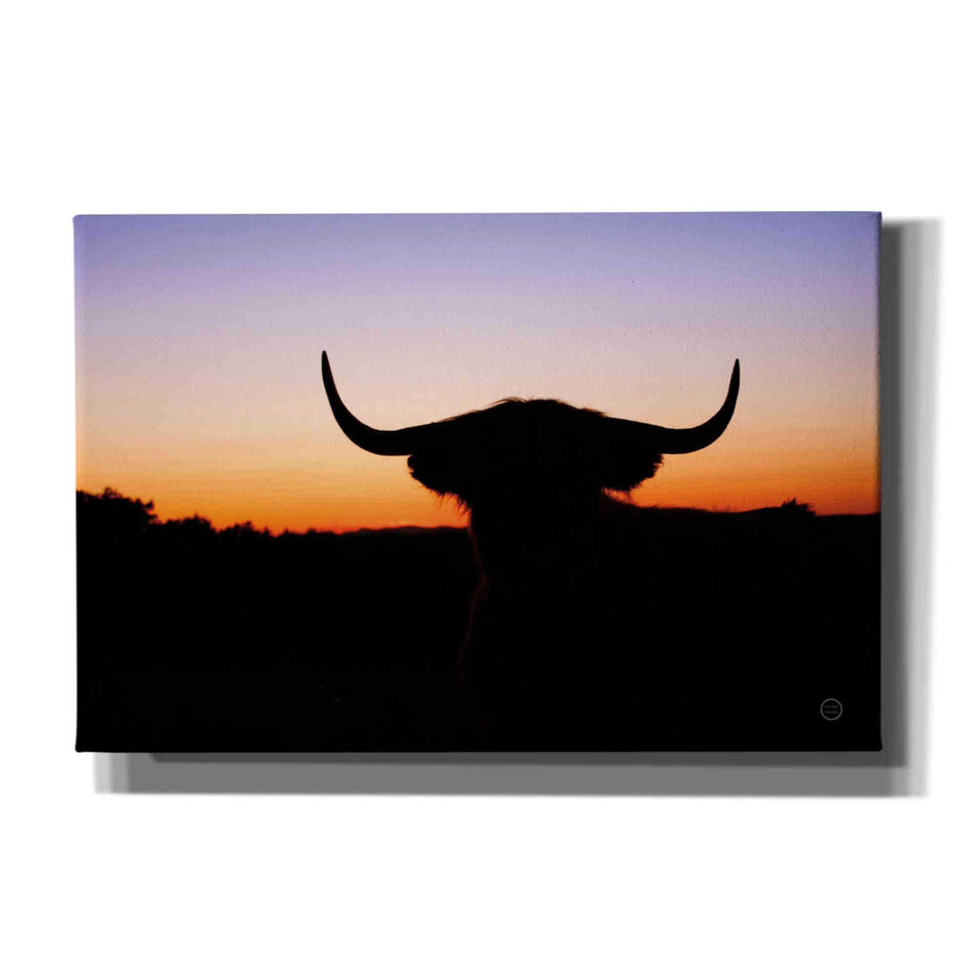 'Bull Set' by Nathan Larson, Canvas Wall Art