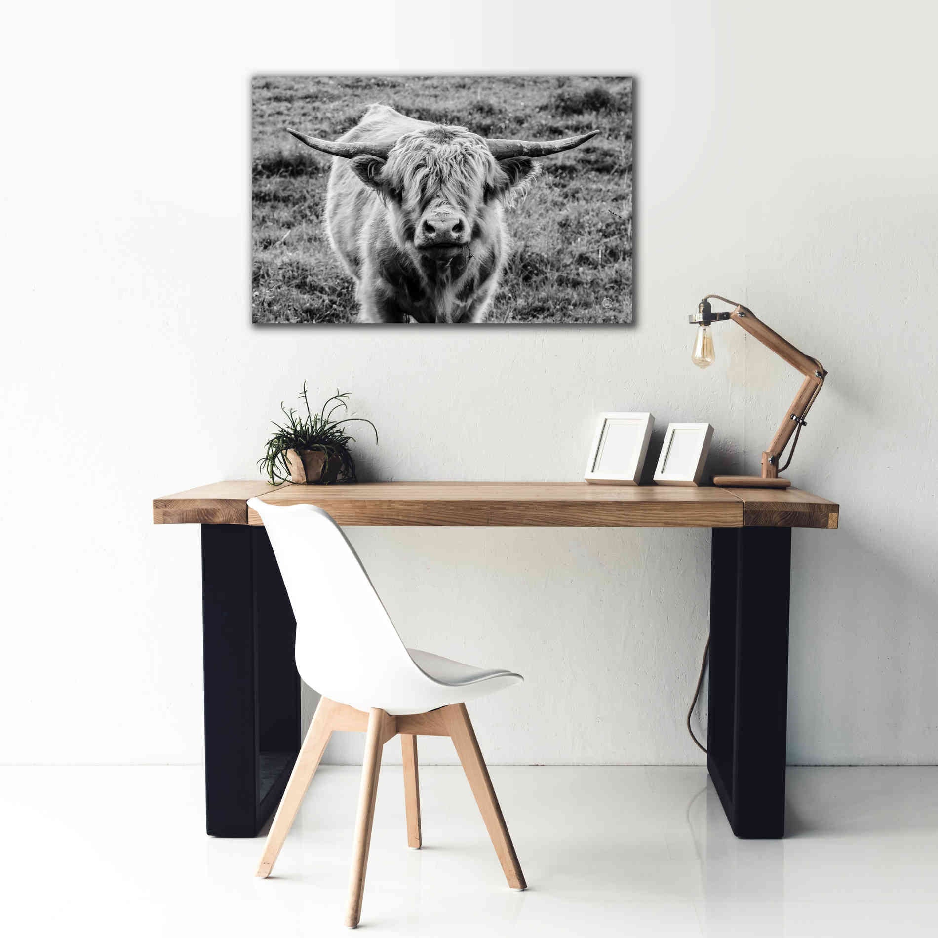 'Highland Cow Staring Contest' by Nathan Larson, Canvas Wall Art,40 x 26
