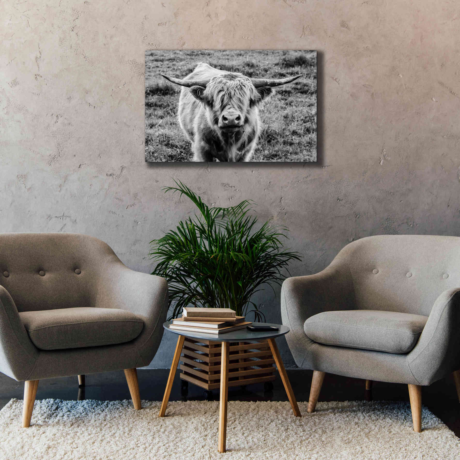 'Highland Cow Staring Contest' by Nathan Larson, Canvas Wall Art,40 x 26