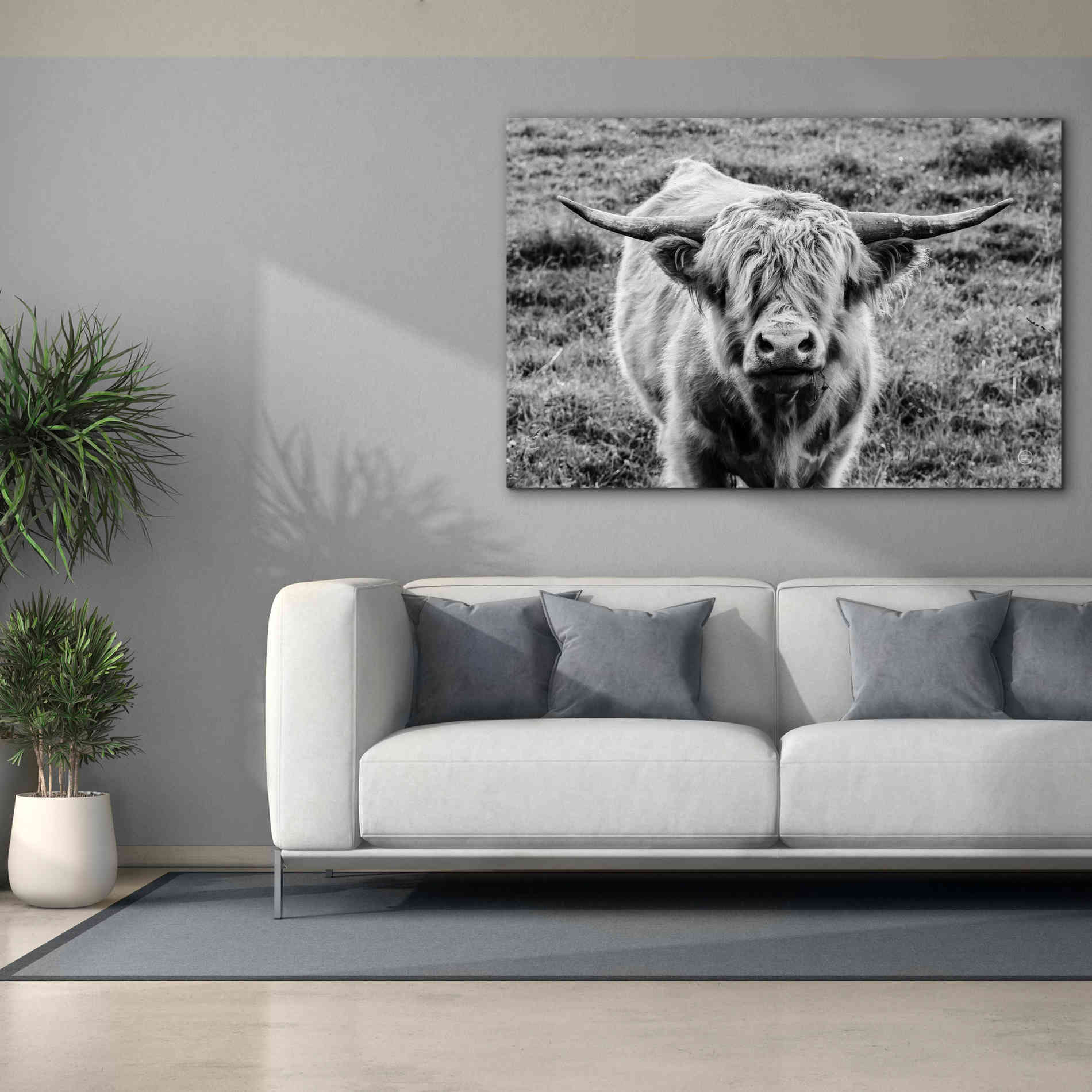 'Highland Cow Staring Contest' by Nathan Larson, Canvas Wall Art,60 x 40