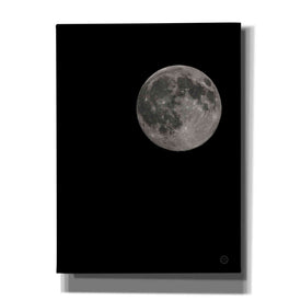 'Moon Detail I' by Nathan Larson, Canvas Wall Art