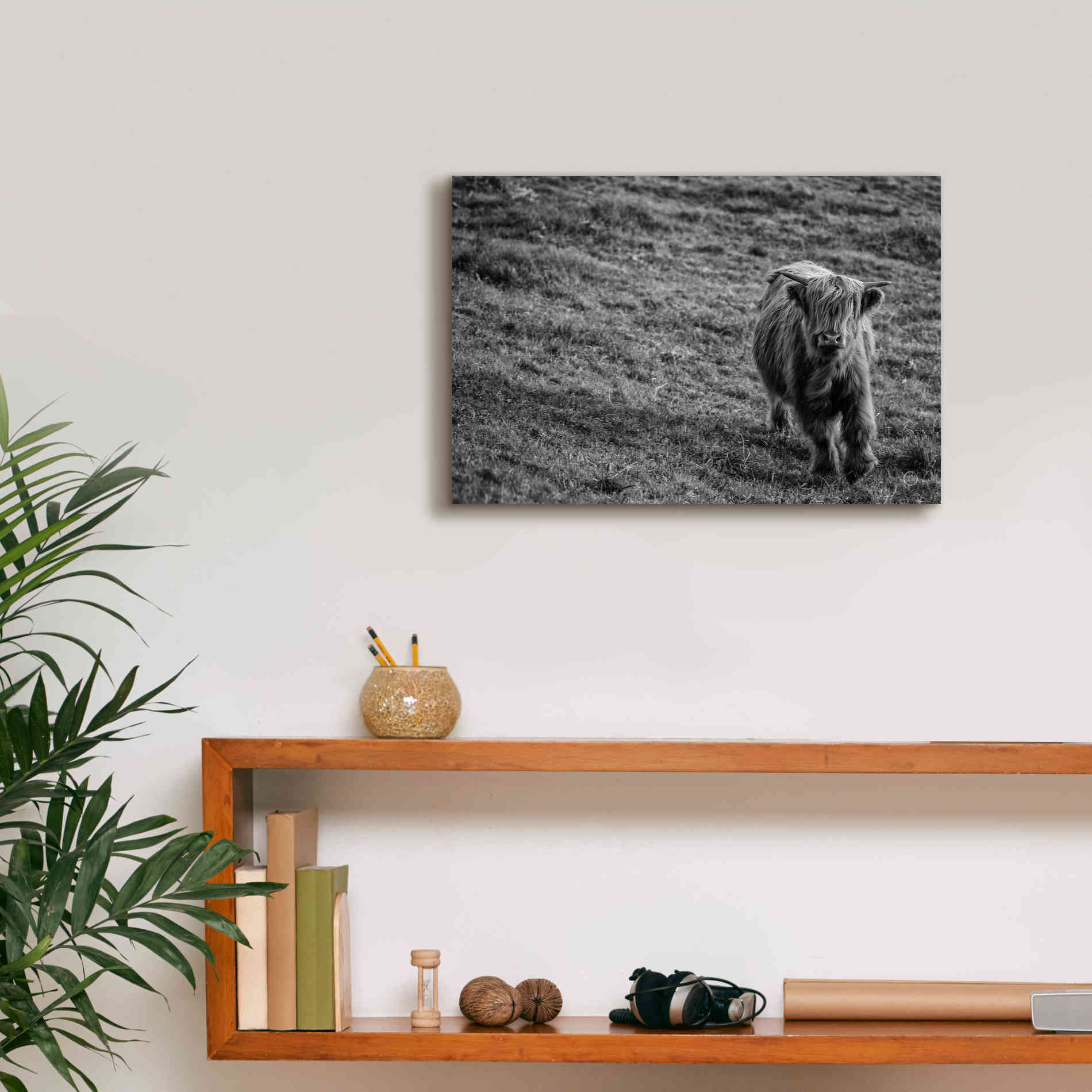 'Highland Cow Calf in the Wind' by Nathan Larson, Canvas Wall Art,18 x 12
