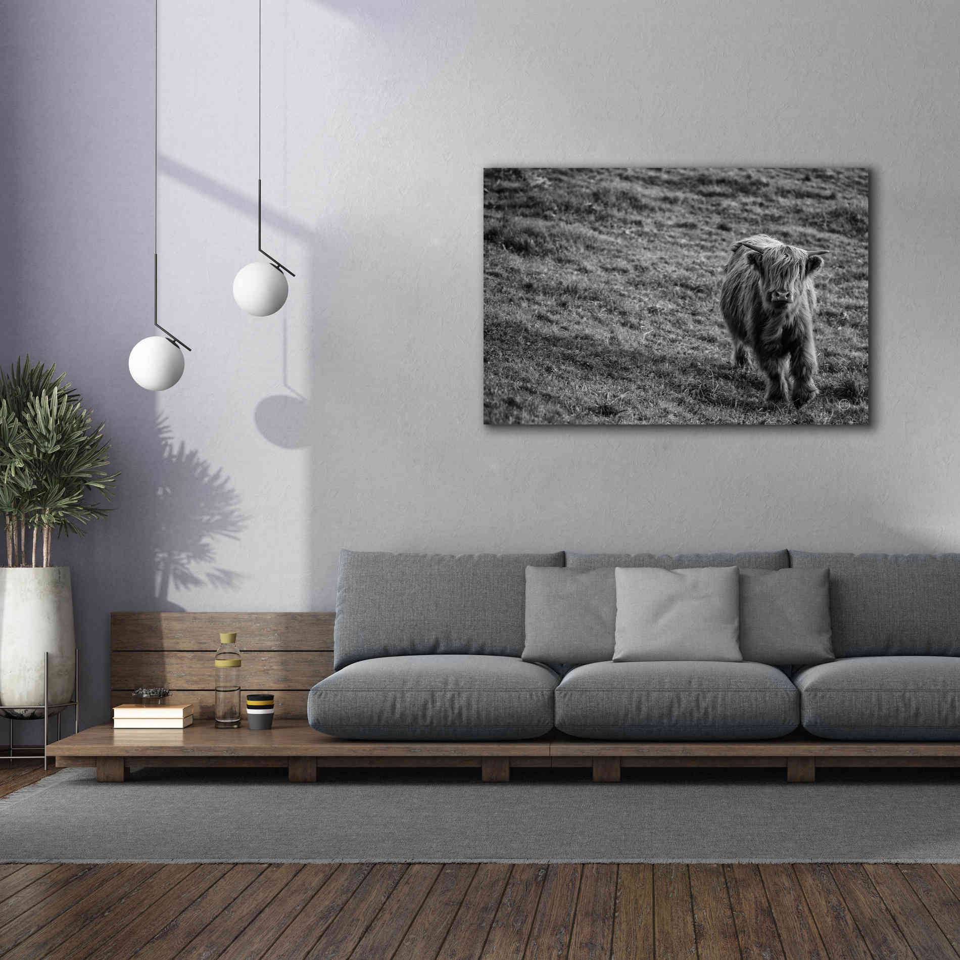 'Highland Cow Calf in the Wind' by Nathan Larson, Canvas Wall Art,60 x 40