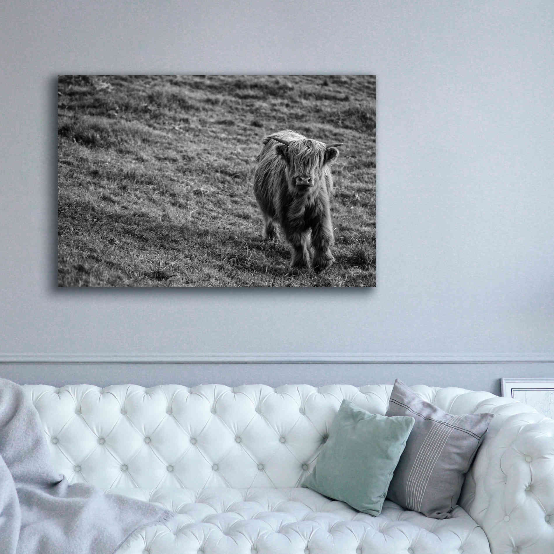 'Highland Cow Calf in the Wind' by Nathan Larson, Canvas Wall Art,60 x 40