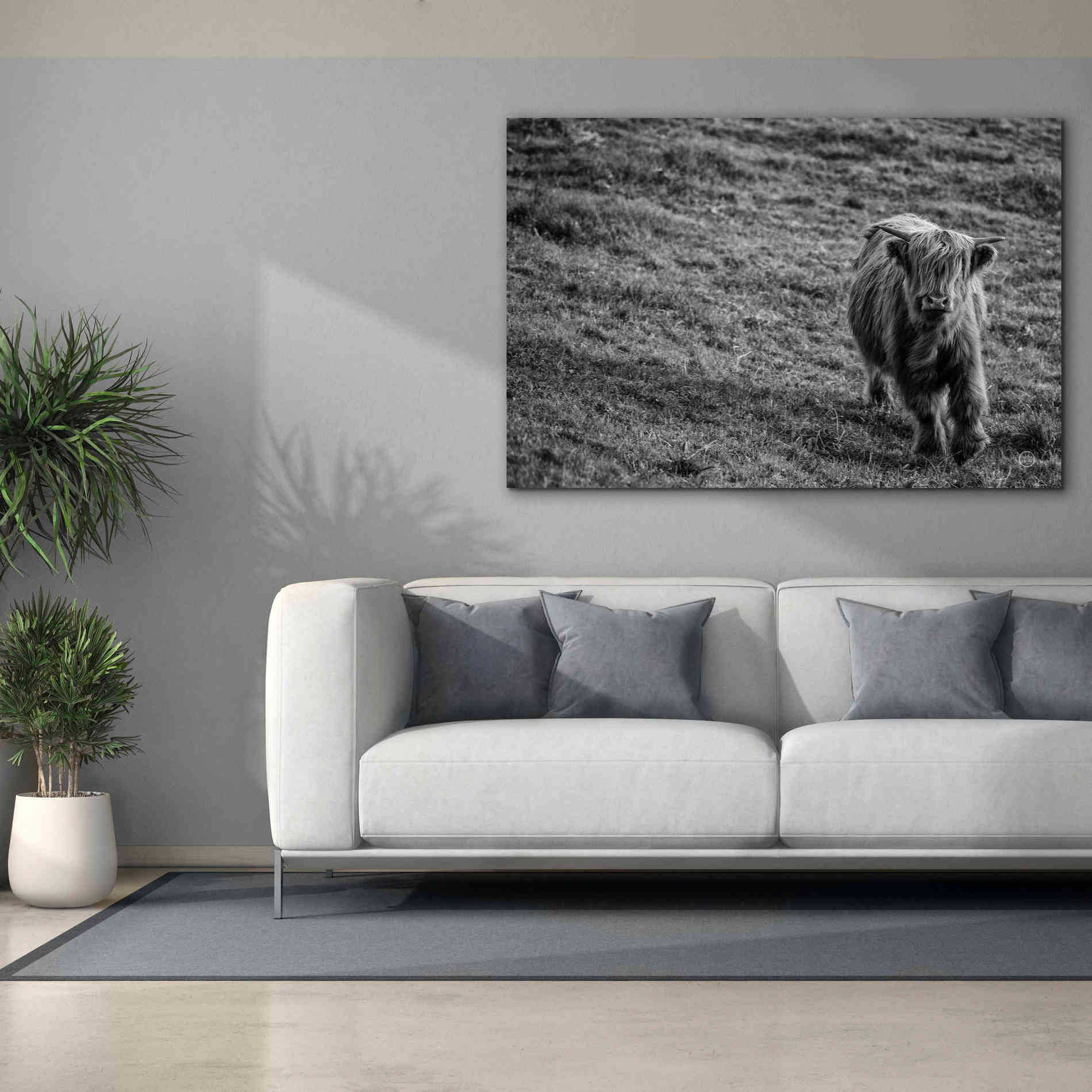 'Highland Cow Calf in the Wind' by Nathan Larson, Canvas Wall Art,60 x 40